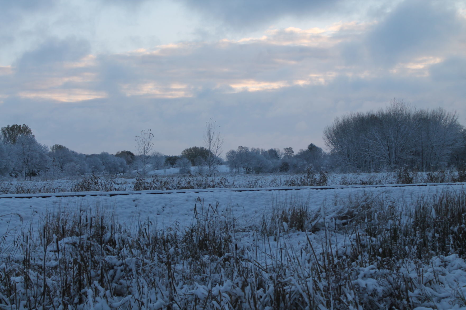 102919 snow 018.JPG